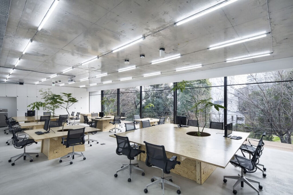 Cách tận dụng ánh sáng tự nhiên cho văn phòng làm việc